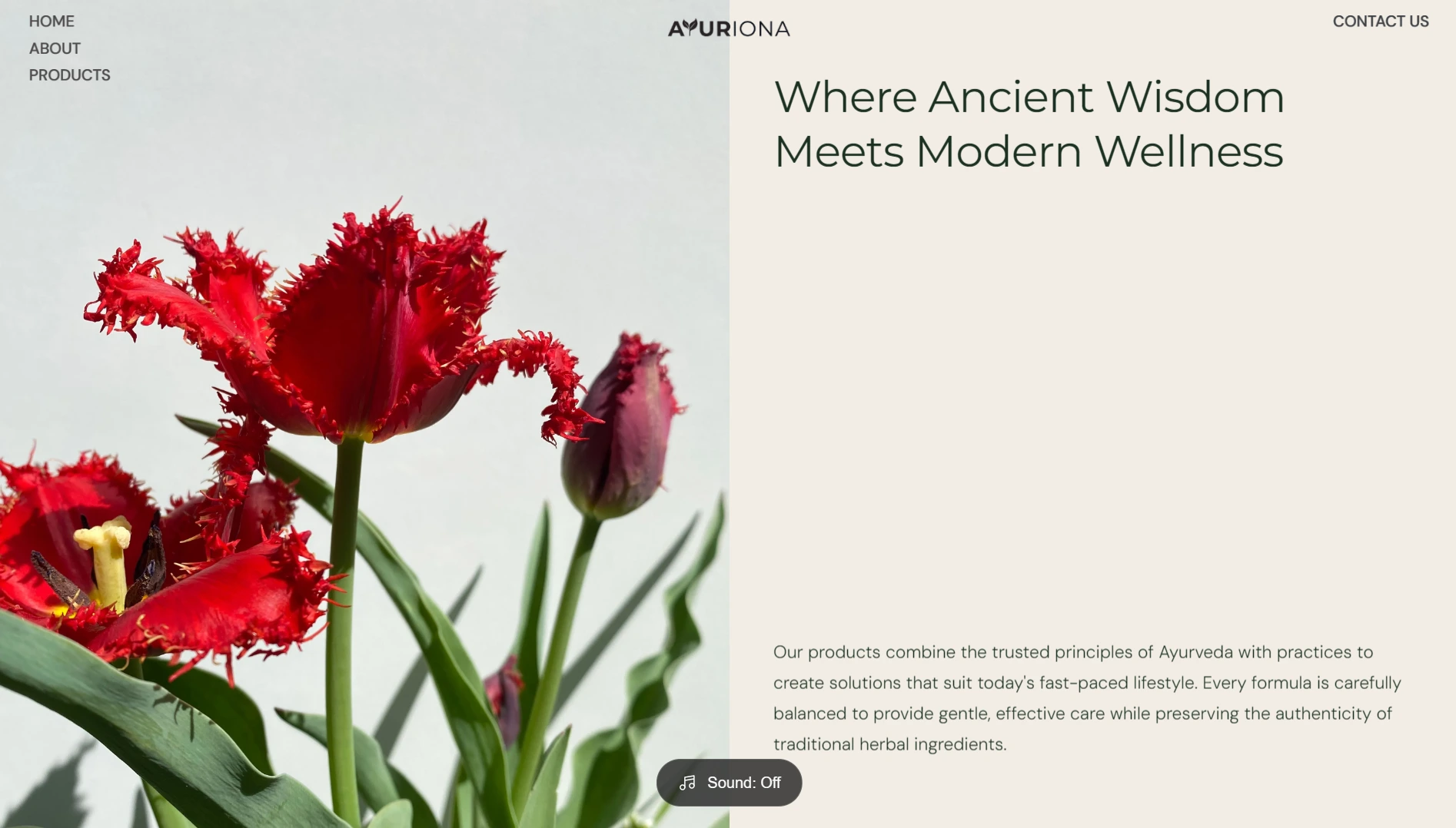 Ayuriona Herbals & Lifestyle Experience 04